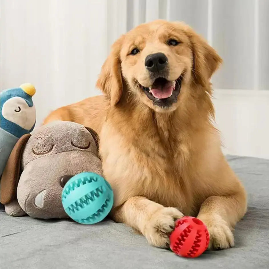 Interactive Dog Treat Ball KuroshiroOnline