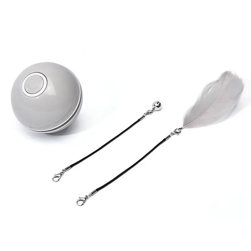 LED Laser Cat Toy KuroshiroOnline