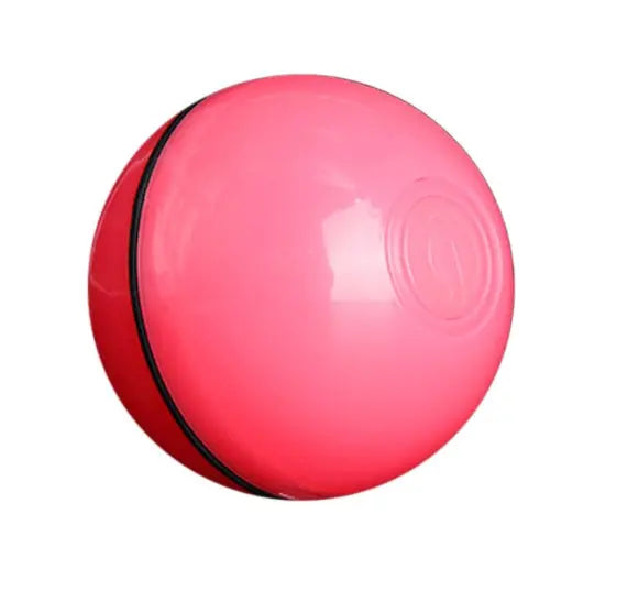 LED Laser Cat Toy KuroshiroOnline