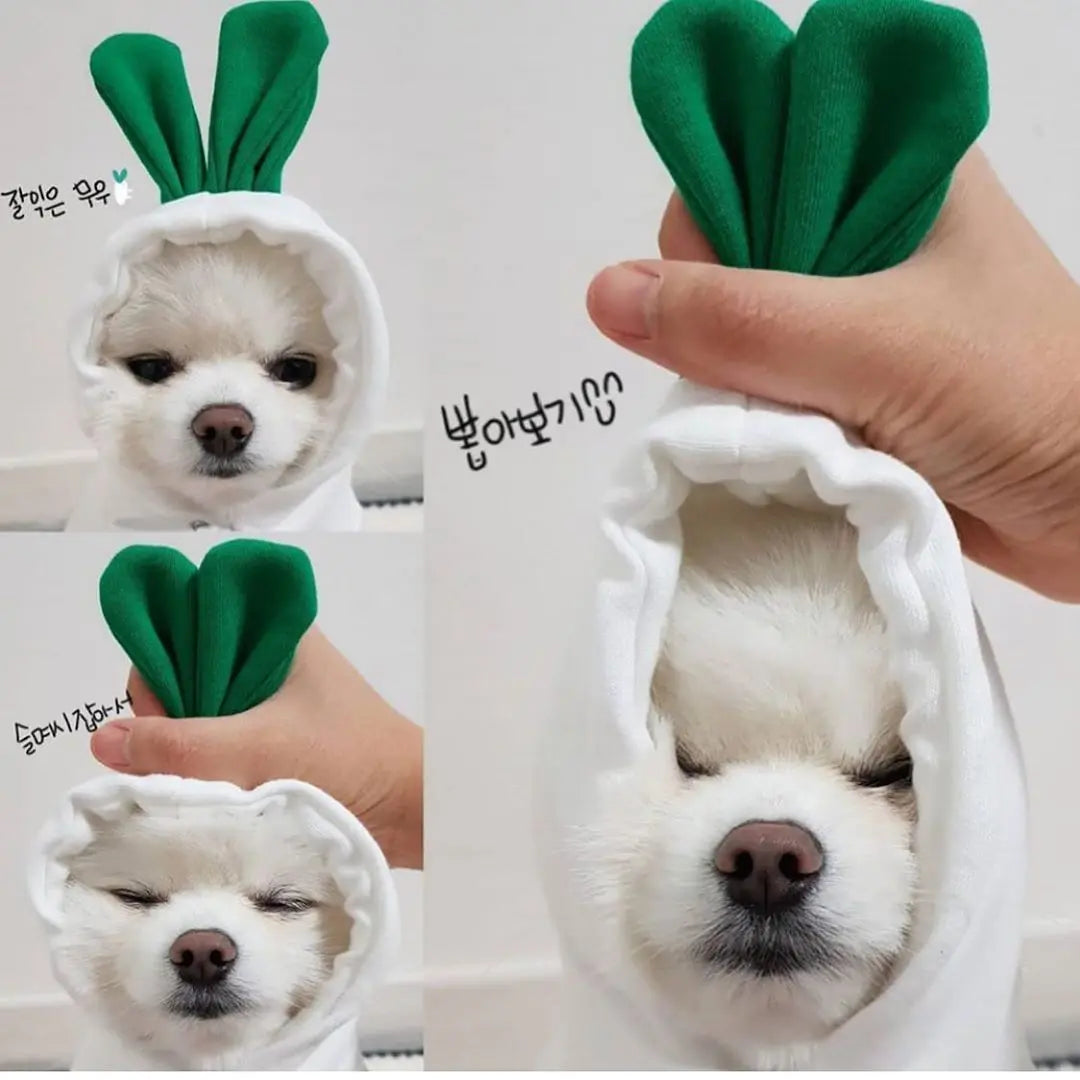 Cute Fruit Dog Clothes For Small Dogs Hoodies Winter Warm Fleece Pet Clothing Puppy Cat Costume Coat For French Chihuahua Outfit KuroshiroOnline