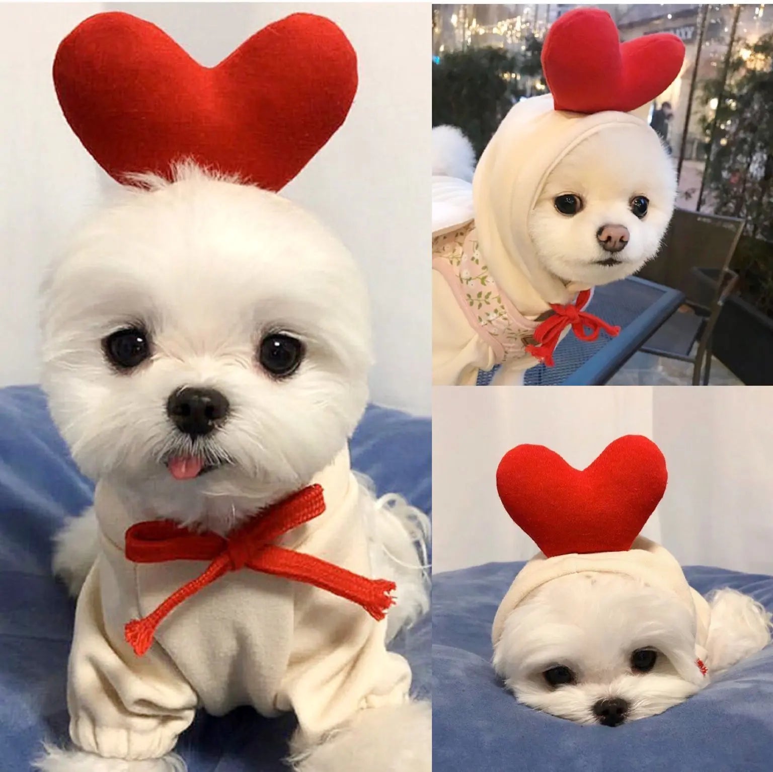 Cute Fruit Dog Clothes For Small Dogs Hoodies Winter Warm Fleece Pet Clothing Puppy Cat Costume Coat For French Chihuahua Outfit KuroshiroOnline