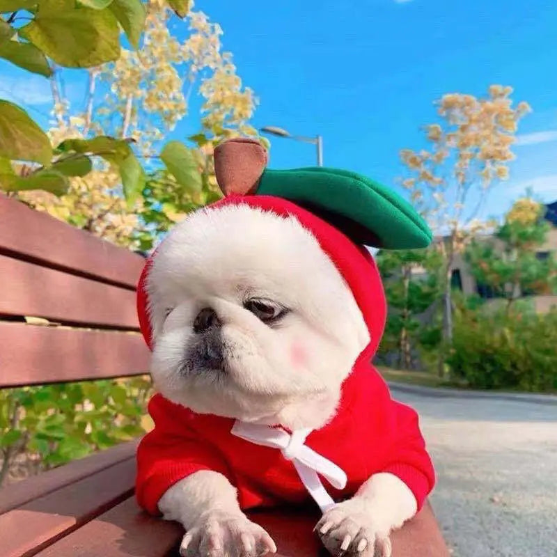 Cute Fruit Dog Clothes For Small Dogs Hoodies Winter Warm Fleece Pet Clothing Puppy Cat Costume Coat For French Chihuahua Outfit KuroshiroOnline
