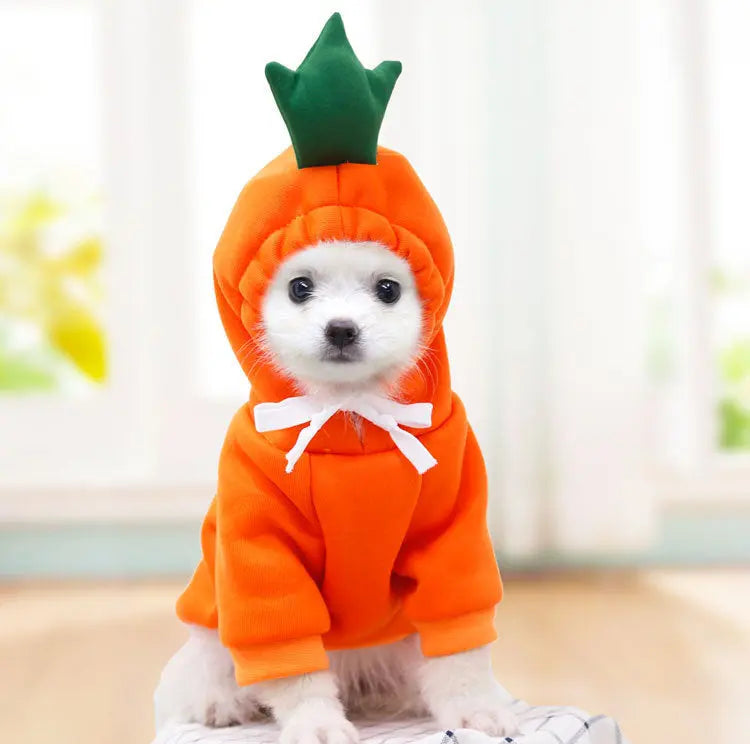 Cute Fruit Dog Clothes For Small Dogs Hoodies Winter Warm Fleece Pet Clothing Puppy Cat Costume Coat For French Chihuahua Outfit KuroshiroOnline