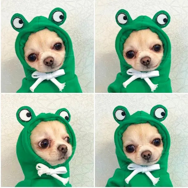 Cute Fruit Dog Clothes For Small Dogs Hoodies Winter Warm Fleece Pet Clothing Puppy Cat Costume Coat For French Chihuahua Outfit KuroshiroOnline