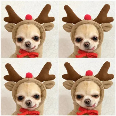 Cute Fruit Dog Clothes For Small Dogs Hoodies Winter Warm Fleece Pet Clothing Puppy Cat Costume Coat For French Chihuahua Outfit KuroshiroOnline