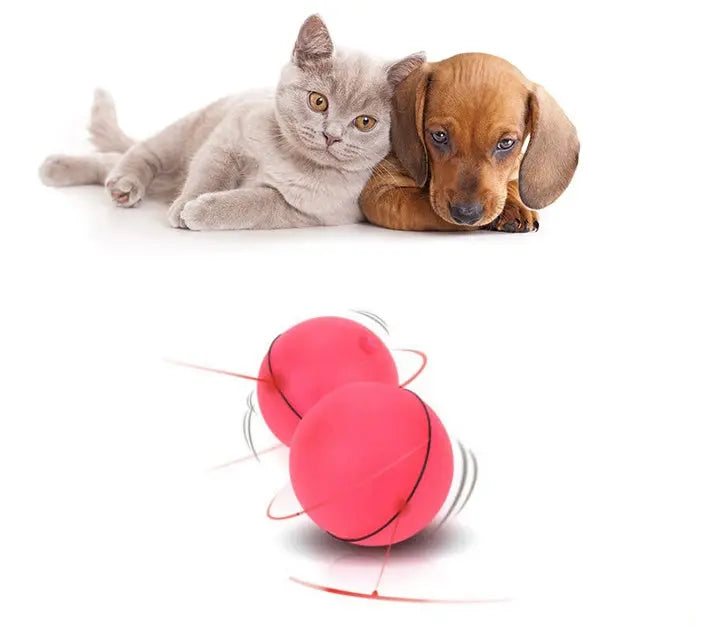 LED Laser Cat Toy KuroshiroOnline