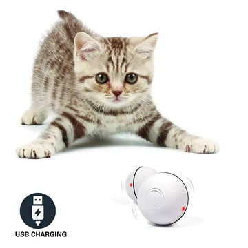 LED Laser Cat Toy KuroshiroOnline