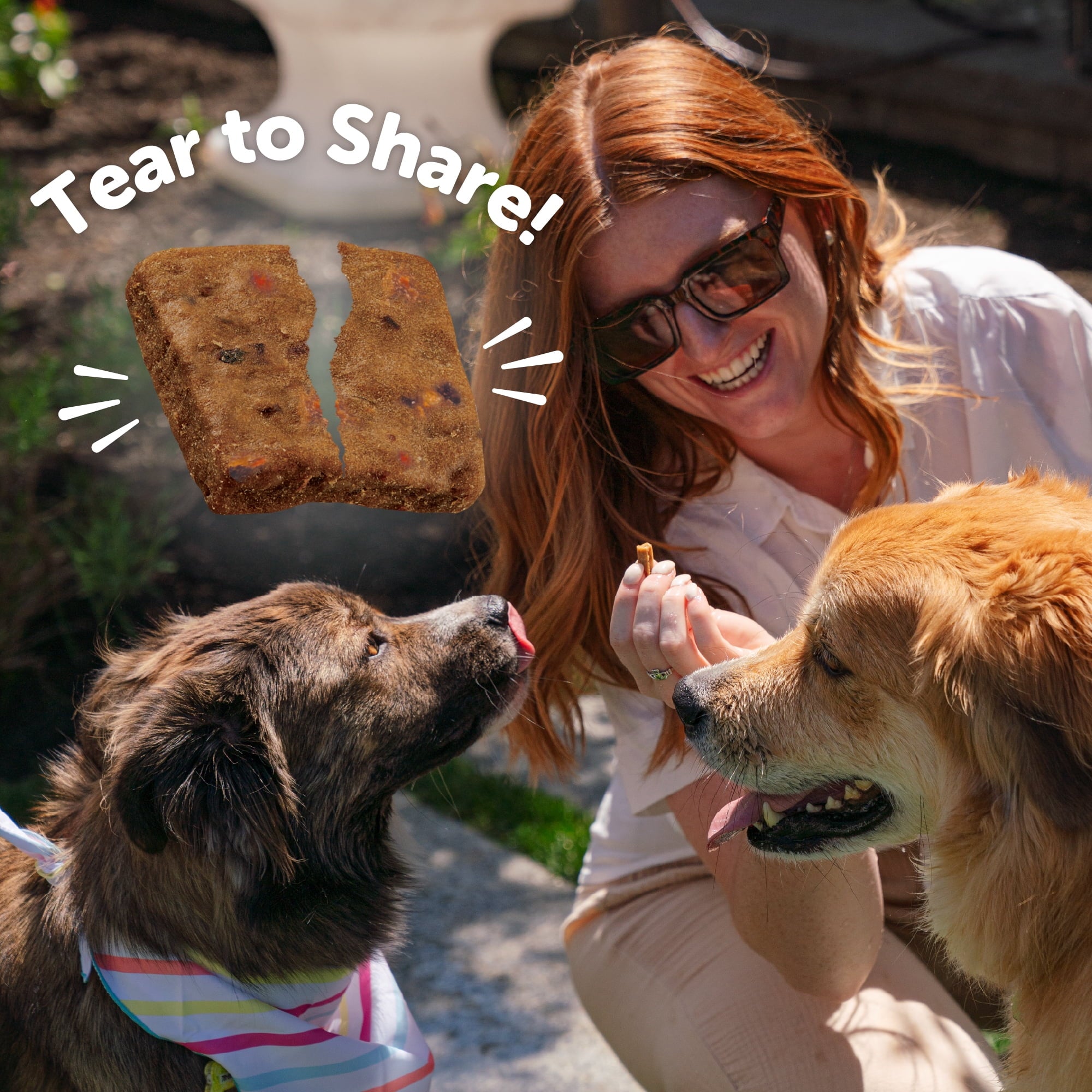 Rewarding Life Dog Treats, Natural, Training Treat, Grain Free, Soft Beef & Turkey (6 Ounce Bag)