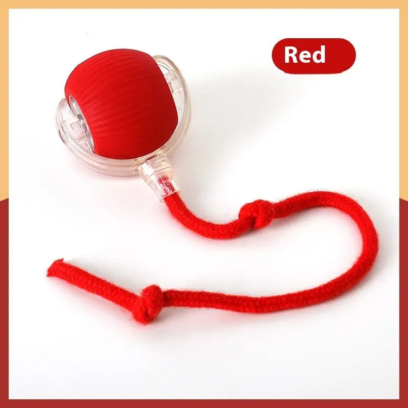 Interactive Cat Toy Ball Super Drive Cat Rolling Ball KuroshiroOnline