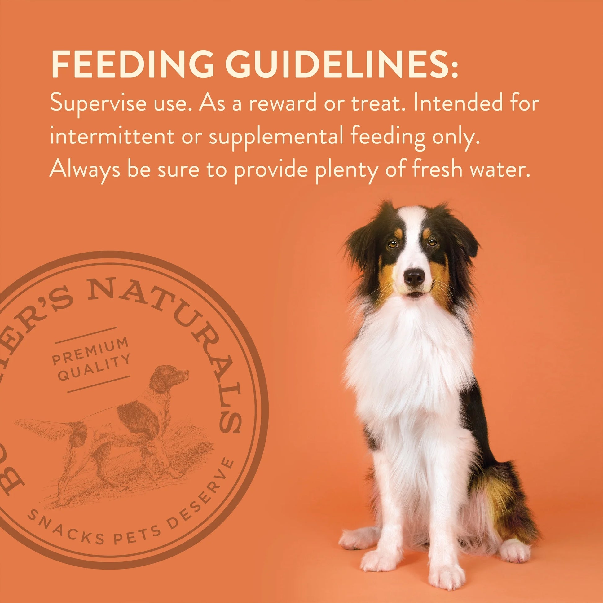 Butcher’S Naturals Pork Flavored Pig Ears Treats for Dogs, 10 Pieces