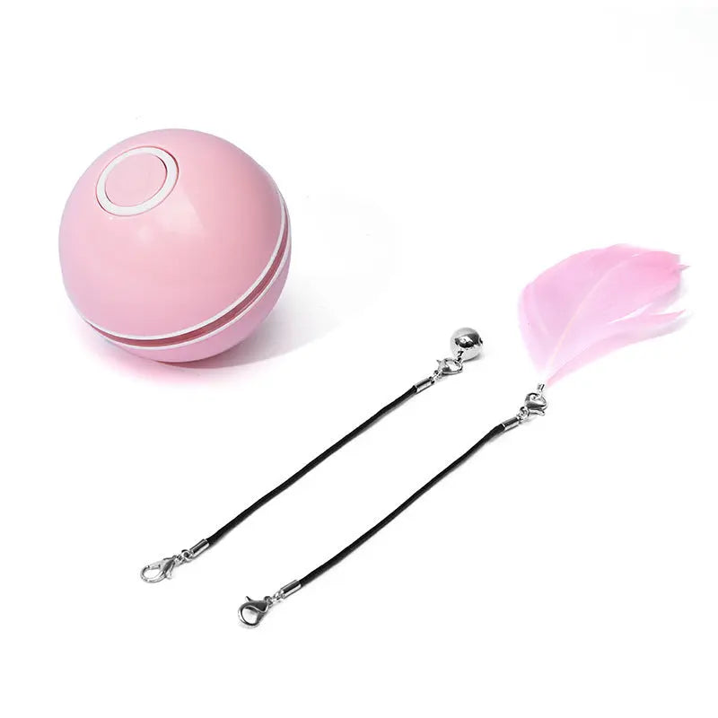 LED Laser Cat Toy KuroshiroOnline