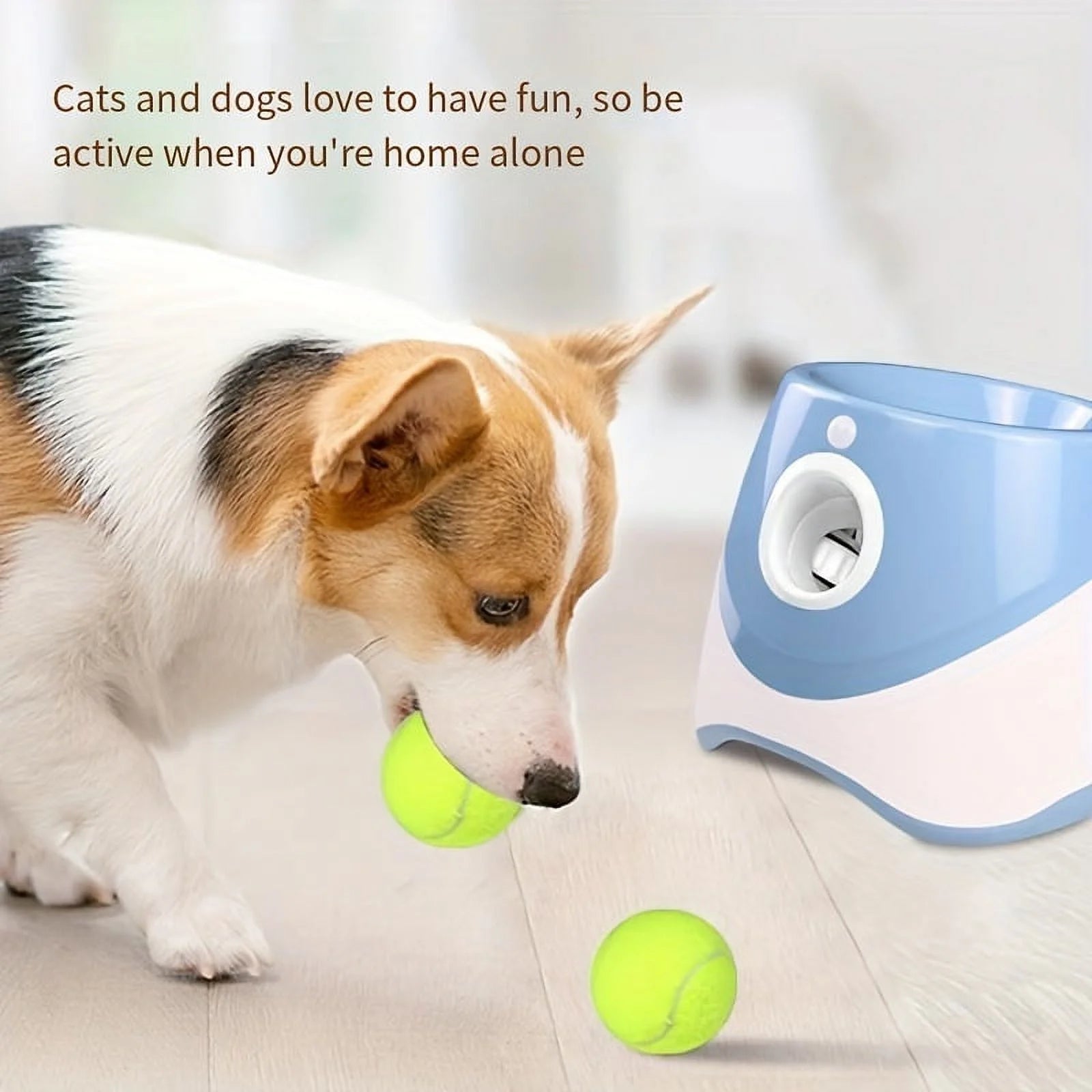 Outdoor Pet Automatic Tennis Ball Launcher