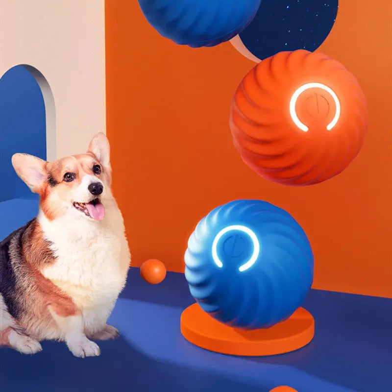 Pet Dog Rubber Ball Toys For Dogs Resistance To Bite Dog Chew Toys Puppy Pets Dogs Training Products KuroshiroOnline