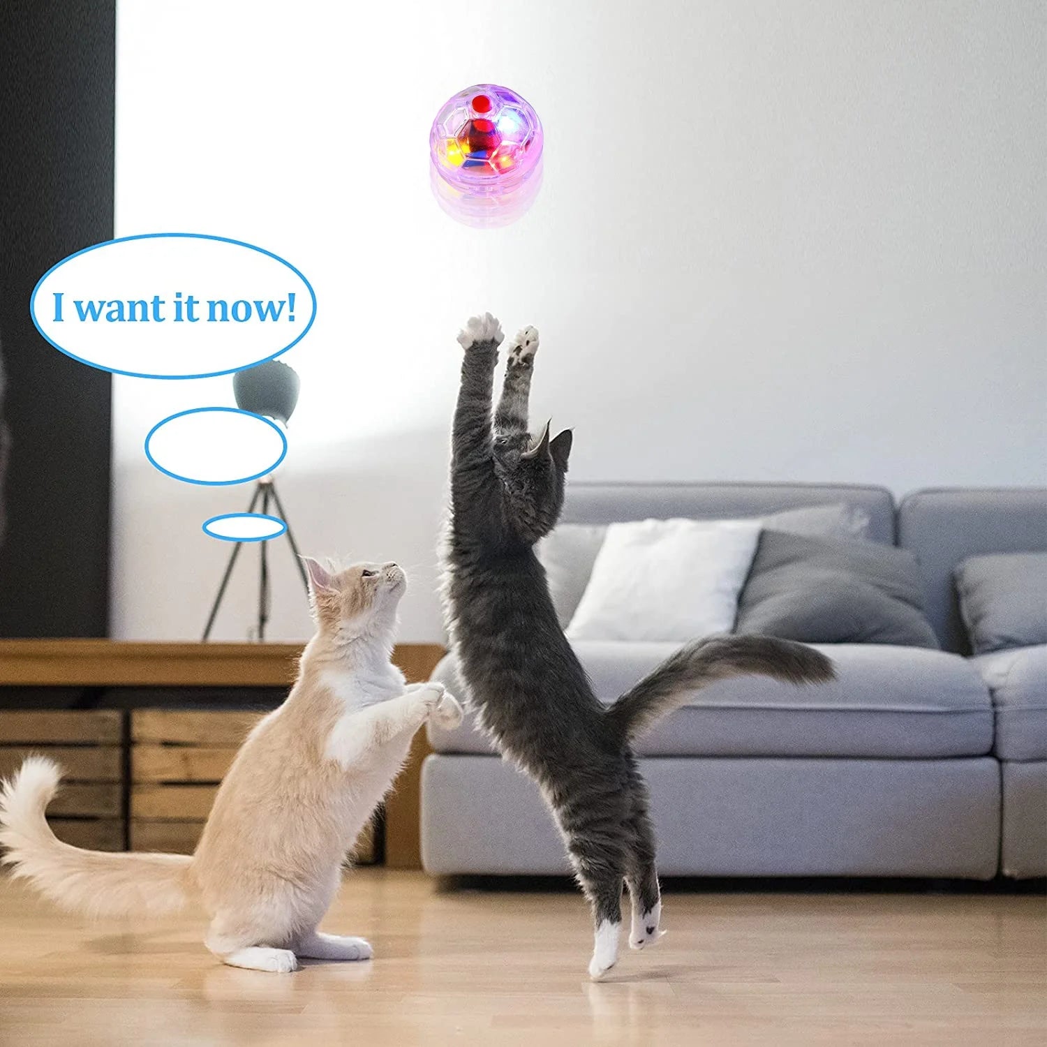 30Pcs Motion Light up Hunting Cat Ball