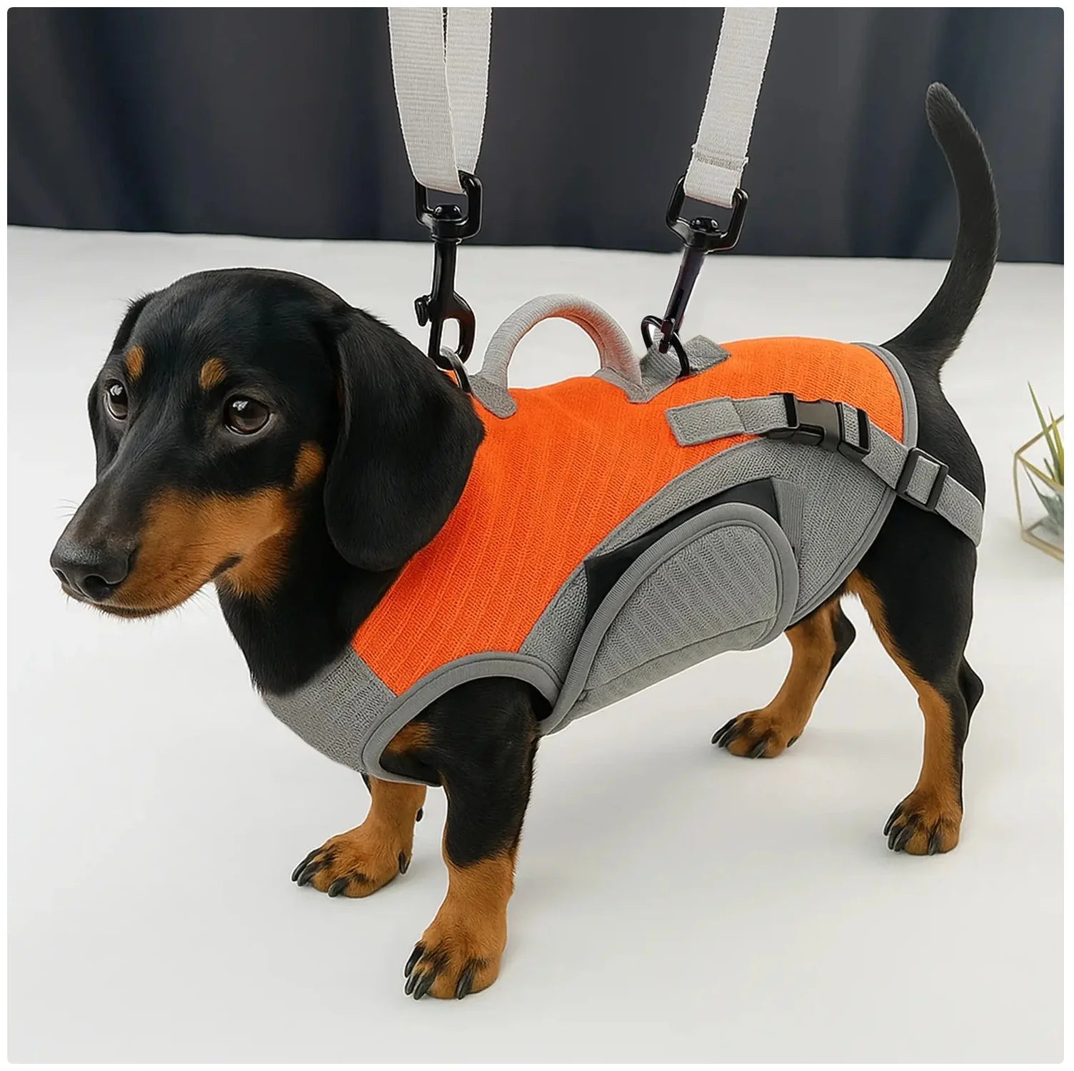 Portable Dog Carrier Backpack - Hands - Free Pet Travel Bag for Outdoor Adventures