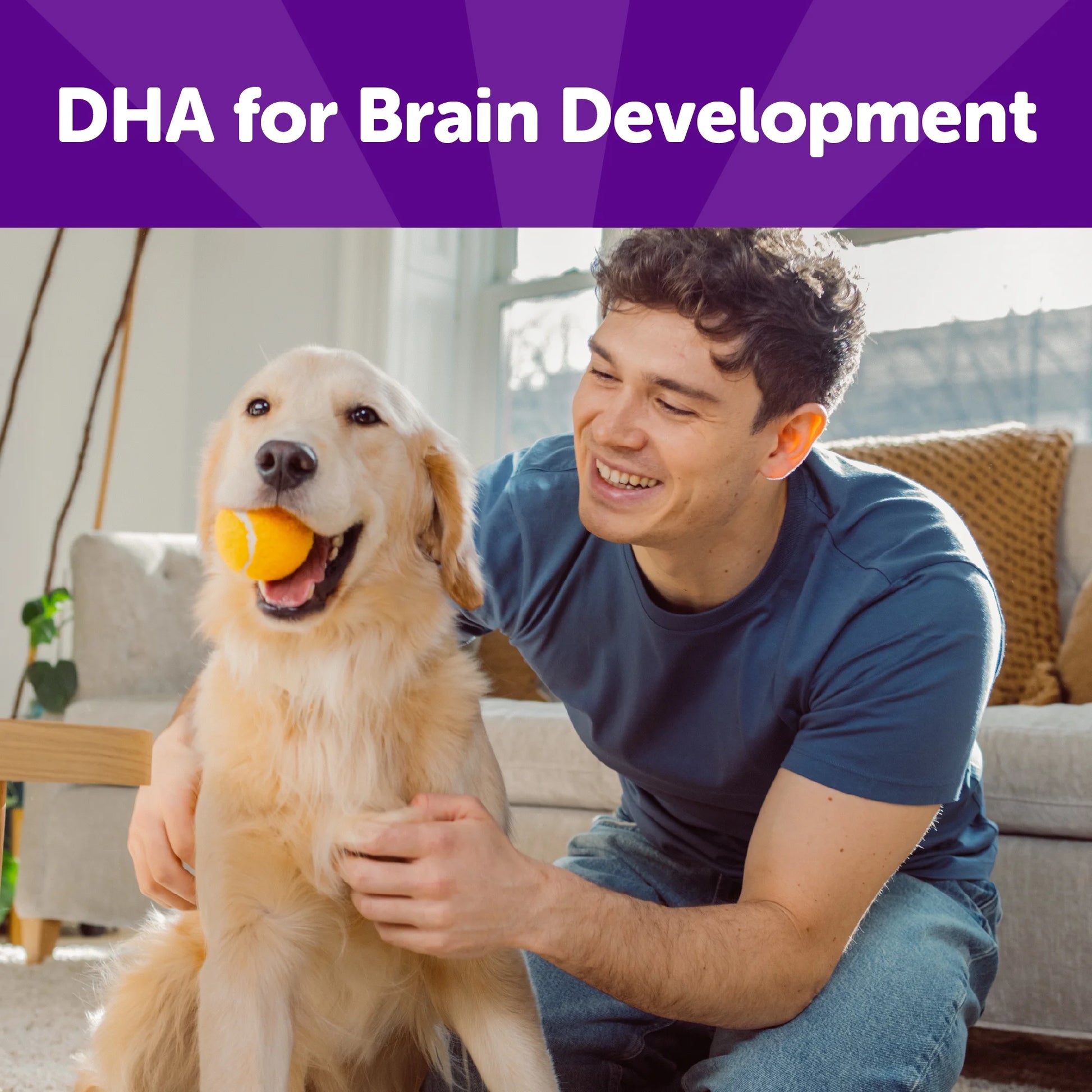 Rewarding Life Dog Treats, Natural, Training Treat, Grain Free, Soft Beef & Turkey (6 Ounce Bag)