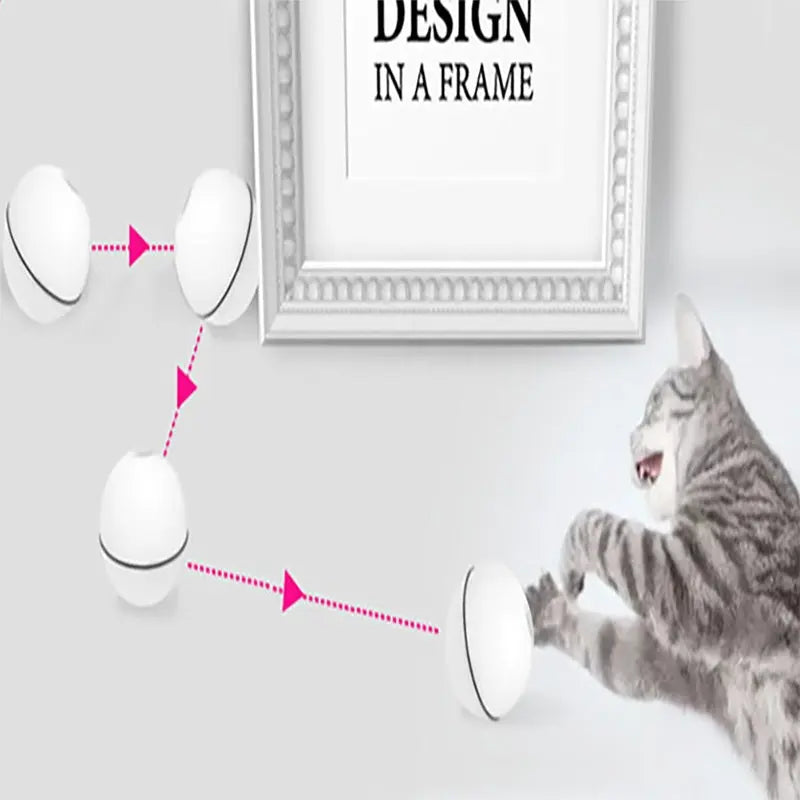 LED Laser Cat Toy KuroshiroOnline