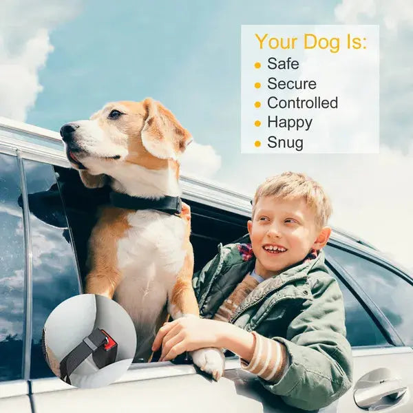 2Pcs Pet Dog Seat Belt Leash Adjustable Pet Dog Cat Safety Leads Harness KuroshiroOnline