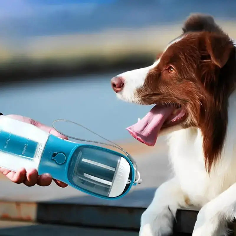 Multifunctional Dog Water Bottle KuroshiroOnline