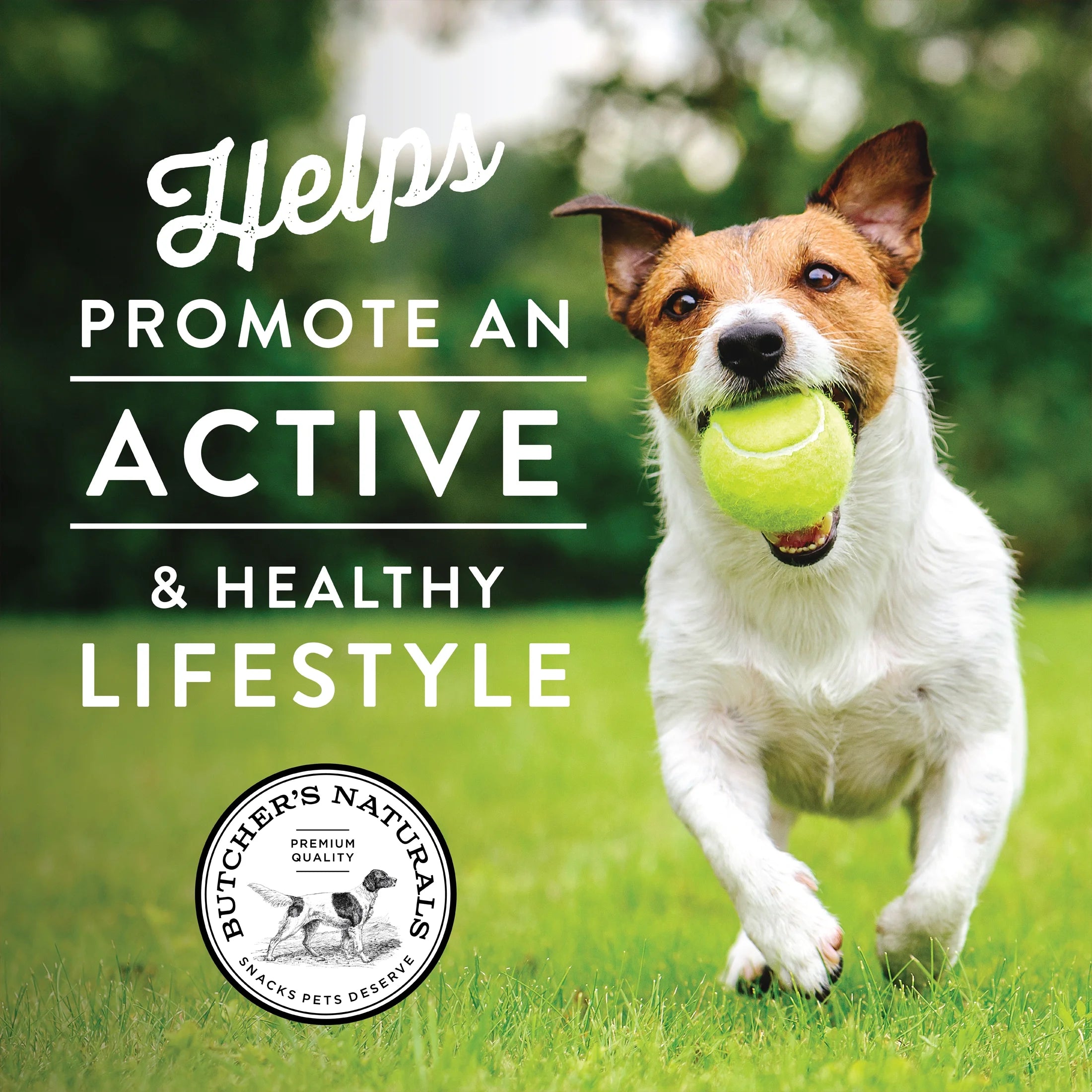 Beef Flavor Sausage Training Treats for Dogs, 10 Oz