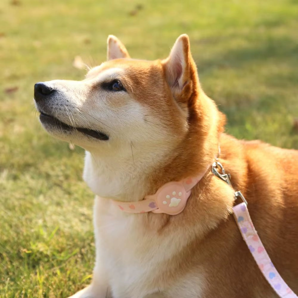 Nylon Pet Locator Collar Glow-In-The-Dark Adjustable Dog Cat Collar Anti-Lost Silicone Tracker Protective Cover for Airtag Pet