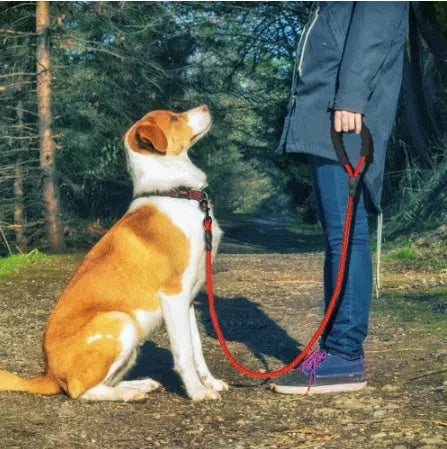 Reflective Dog Leash Nylon Pet Dog Leash Rope For Small Medium Large Dogs Walking Training Pet Suppiles KuroshiroOnline