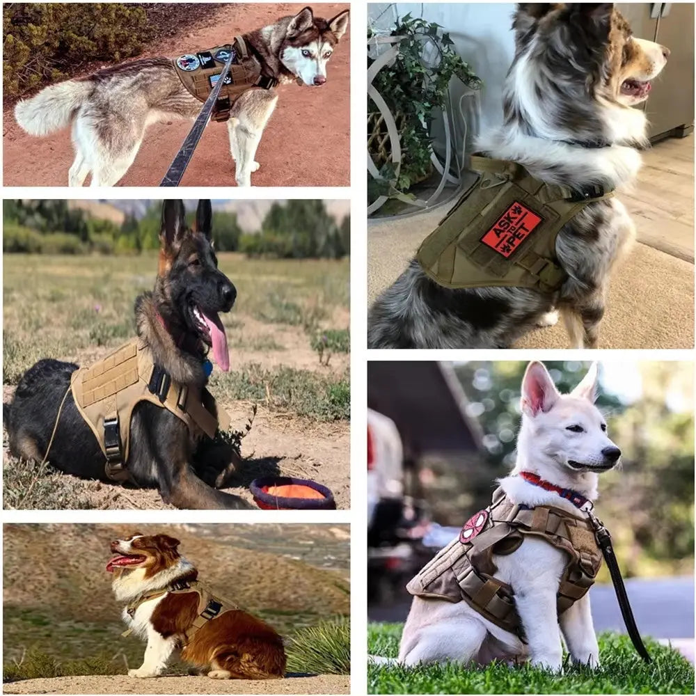 Pet Harness Luxury Dog Leash Set Chest Dog  Nylon Camouflage Dog Harness KuroshiroOnline