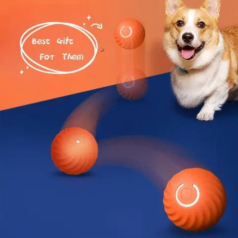 Pet Dog Rubber Ball Toys For Dogs Resistance To Bite Dog Chew Toys Puppy Pets Dogs Training Products KuroshiroOnline