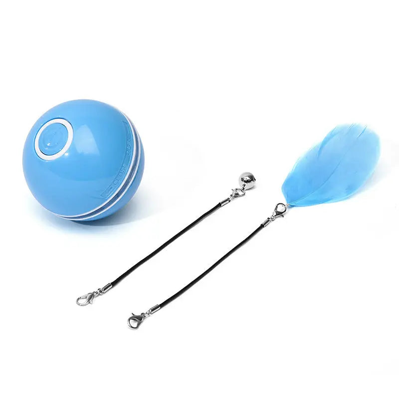 LED Laser Cat Toy KuroshiroOnline