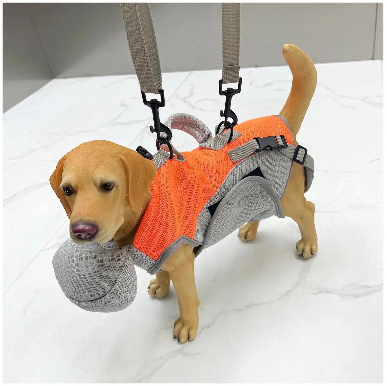 Portable Dog Carrier Backpack - Hands - Free Pet Travel Bag for Outdoor Adventures