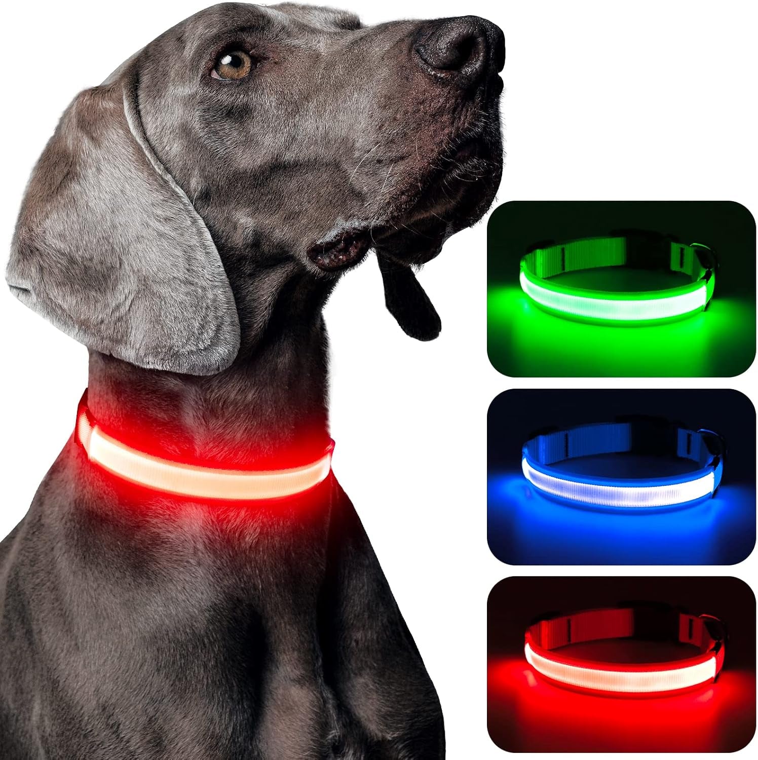 Light up Dog Collars - USB Rechargeable Glowing LED Dog Collar - High Visibility Adjustable Lighted Pet Collar, Flashing Dog Lights for Night Walking (Medium, Red)