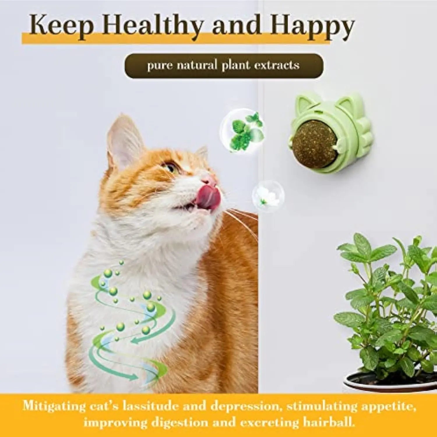 Catnip Wall Ball Toy KuroshiroOnline