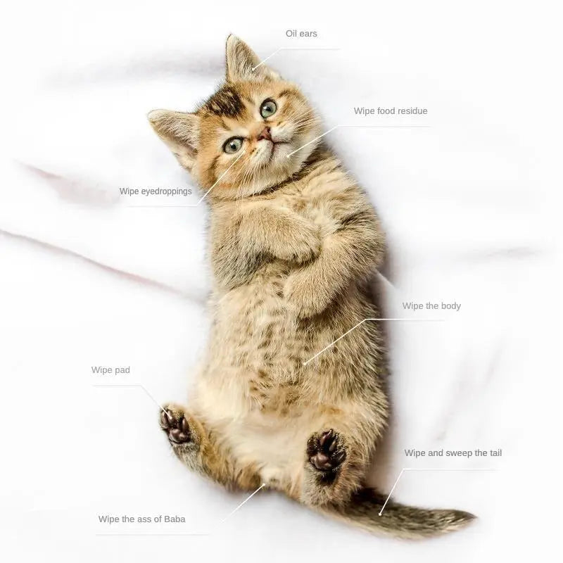 PET Cleaning  Deodorizing Bathing Wipes ForDogs And Cats, Nourish Fur Coconut OilGrooming Wipes For Dogs, Pet Cleaning GlovesWipes For Daily Care And Traveling.Hypoallergenic KuroshiroOnline