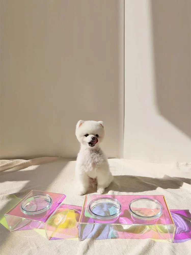 Acrylic Pet Dazzling Bowl Food Basin Small Dog KuroshiroOnline