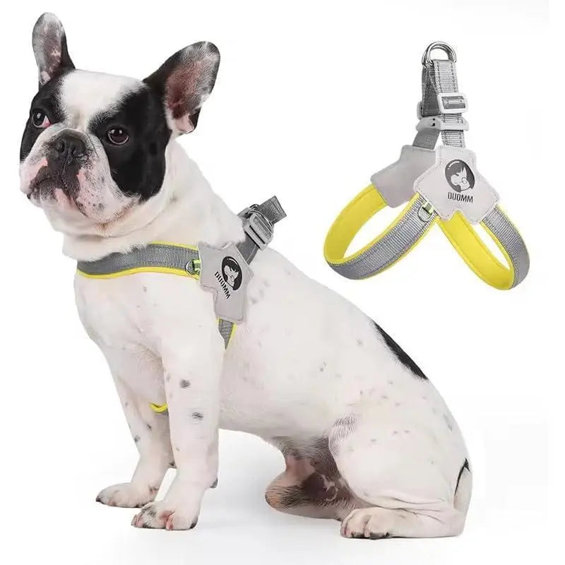 Pet Dog Cat Harness, Pet Harness With LeashSet, Adjustable Puppy Harness ComfortableReflective Easy Control Dog With Leather Leash,.No-Pull No Choke Pet Harness For TrainingWalking KuroshiroOnline
