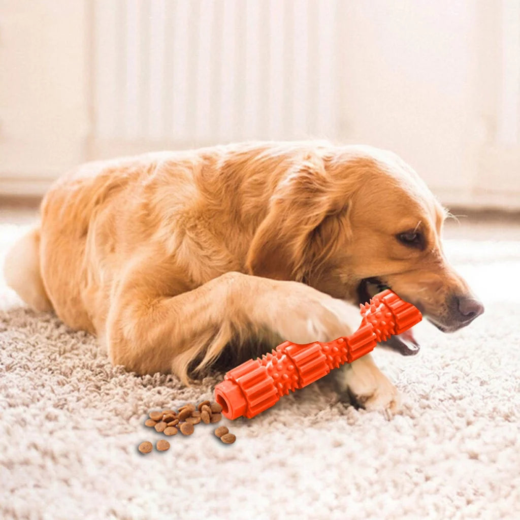 Dog Chew Toys for Aggressive Chewers