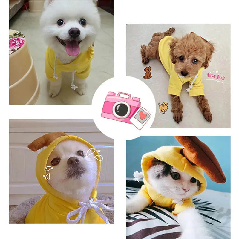 Cute Fruit Dog Clothes For Small Dogs Hoodies Winter Warm Fleece Pet Clothing Puppy Cat Costume Coat For French Chihuahua Outfit KuroshiroOnline