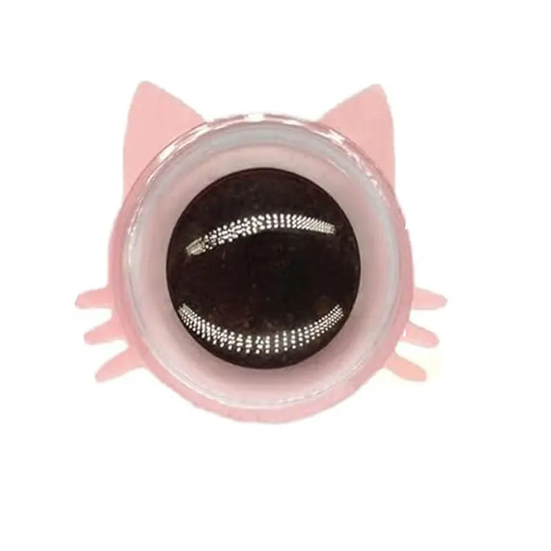 Catnip Wall Ball Toy KuroshiroOnline