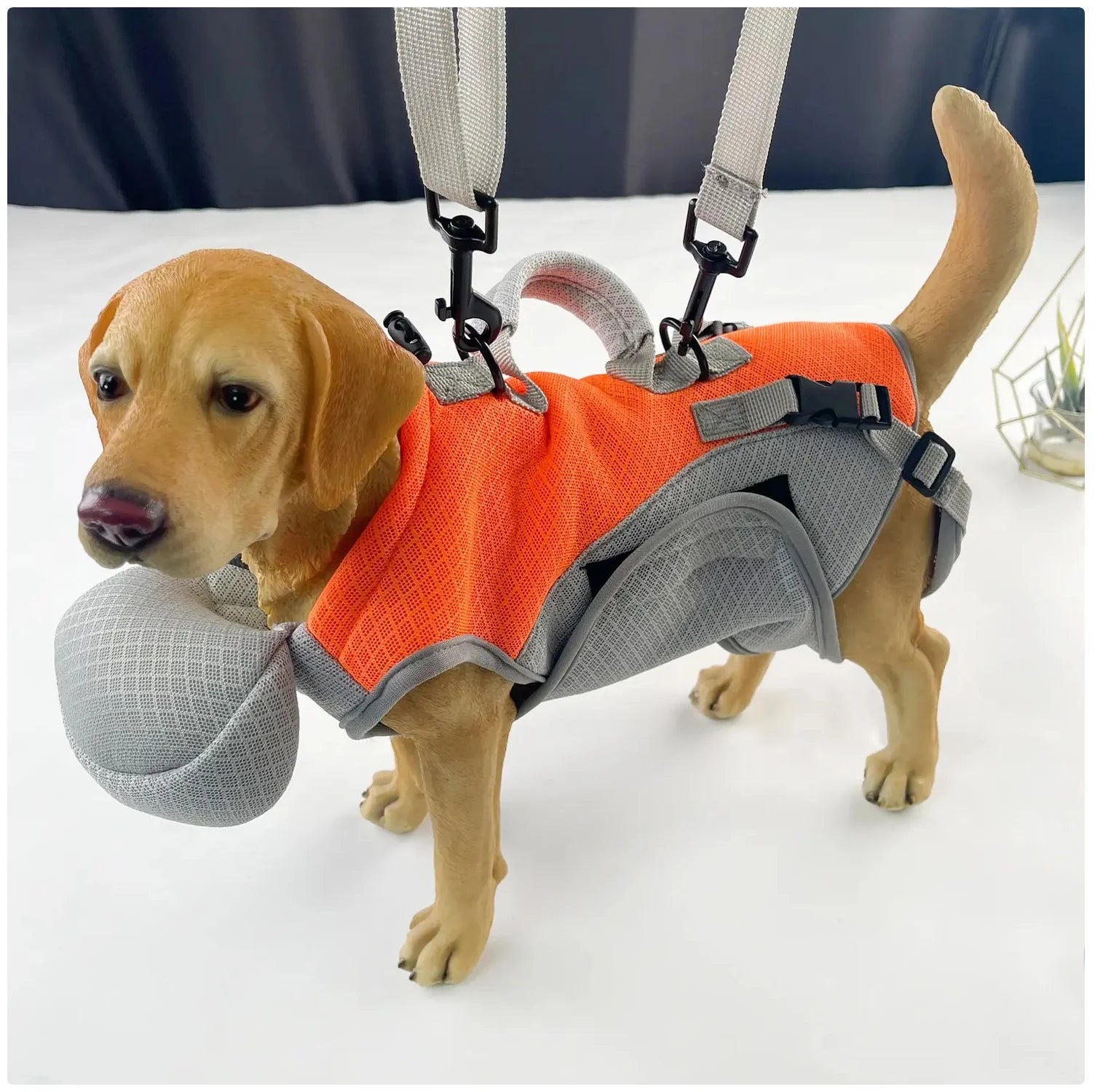 Portable Dog Carrier Backpack - Hands - Free Pet Travel Bag for Outdoor Adventures