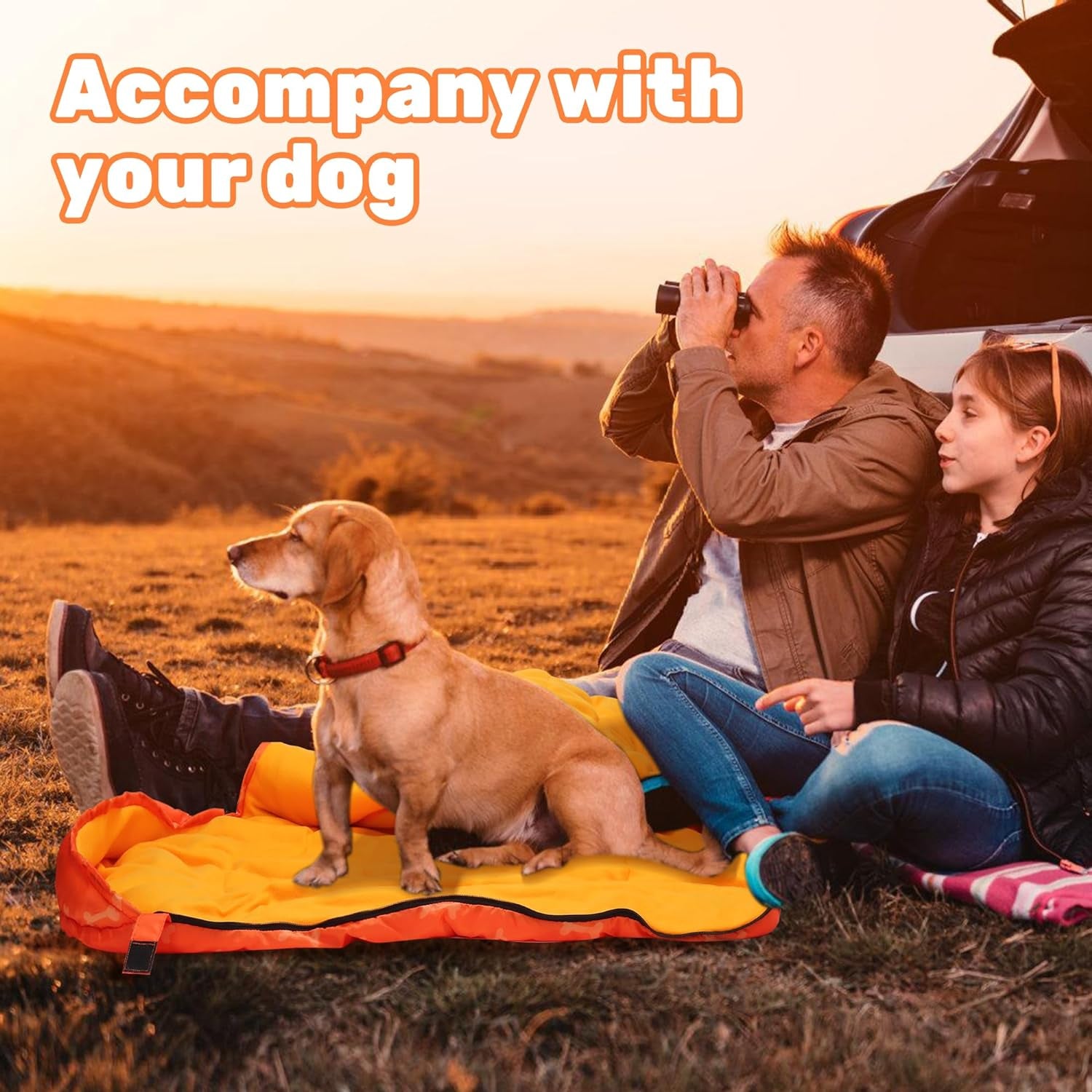 Lifeunion Dog Sleeping Bag with Storage Bag Waterproof Warm Packable Dog Bed for Travel Camping Hiking Backpacking