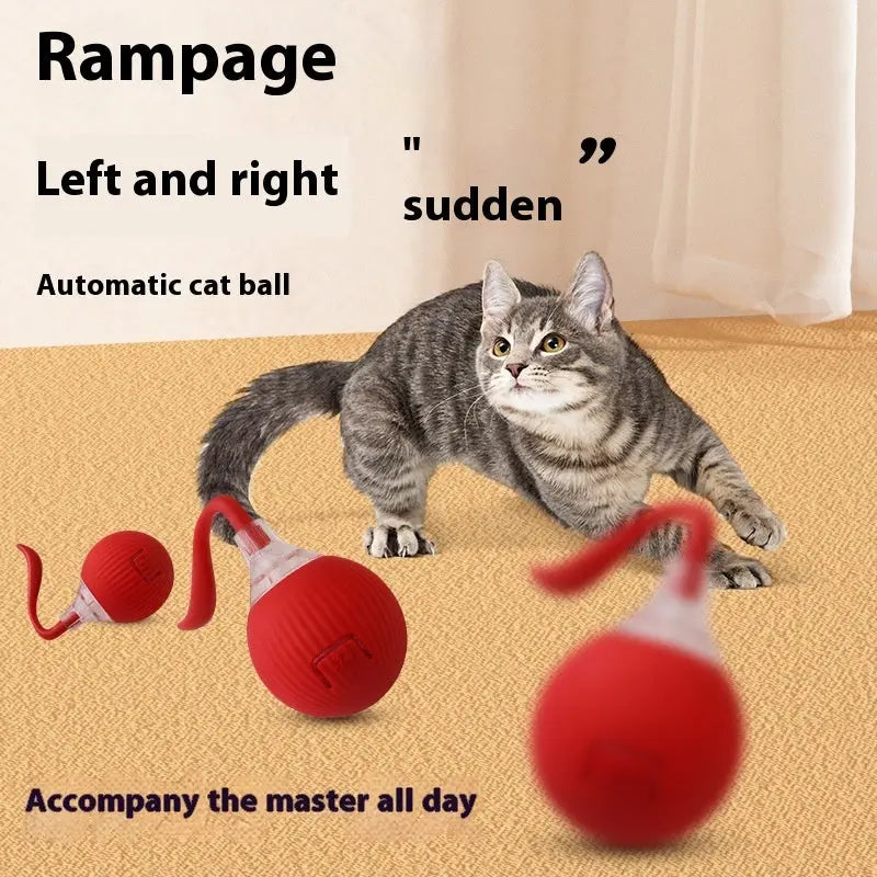 Interactive Cat Toy Ball Super Drive Cat Rolling Ball KuroshiroOnline