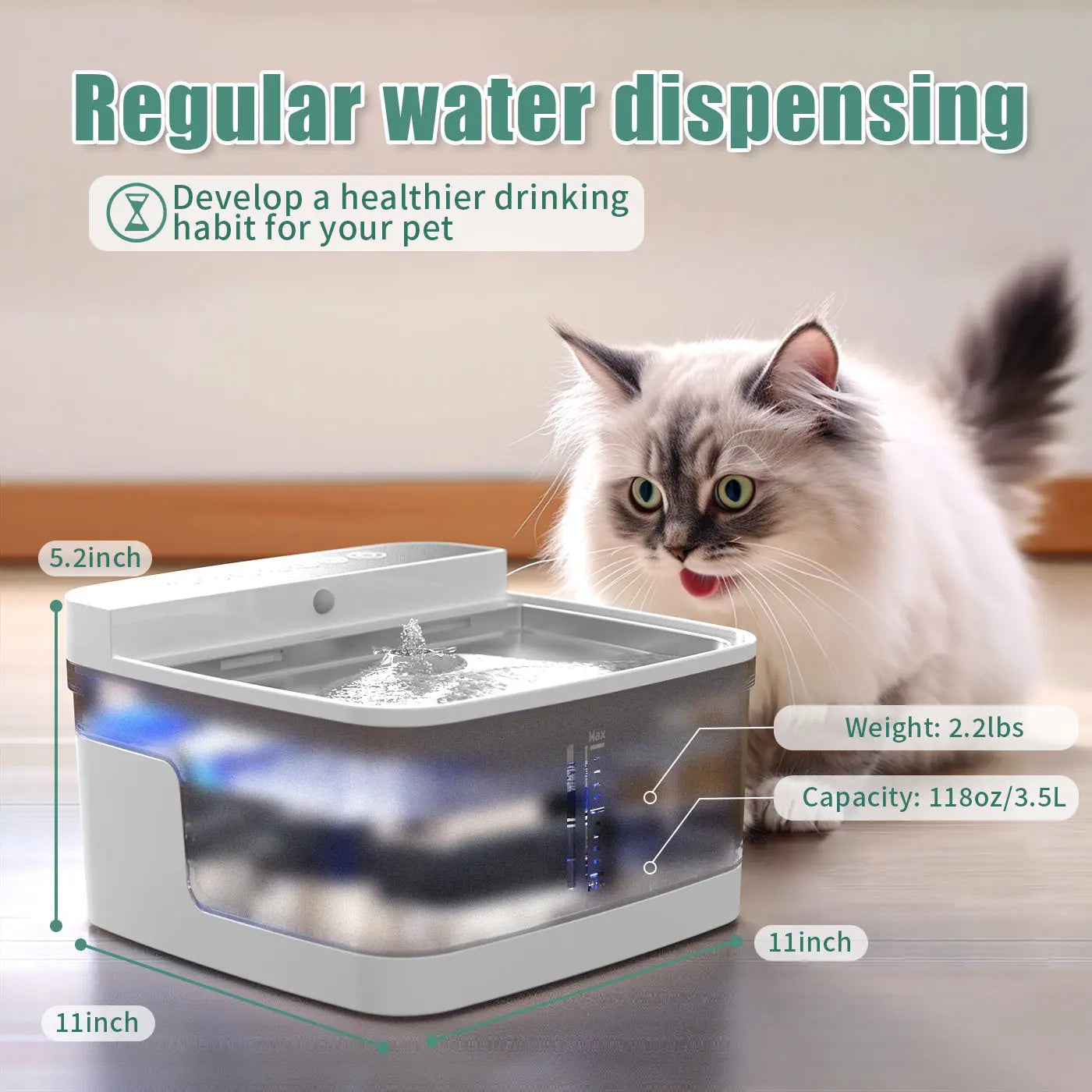 Pet Water Dispenser KuroshiroOnline