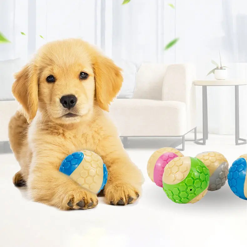 Interactive Dog Chew Toy KuroshiroOnline
