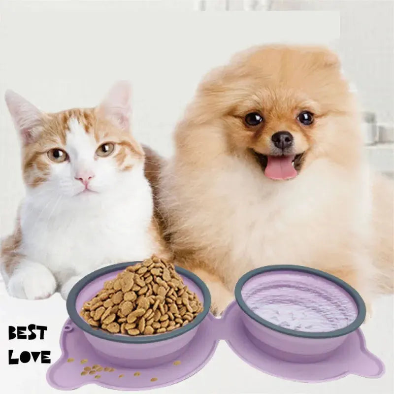 Foldable Silicone Pet Bowl KuroshiroOnline