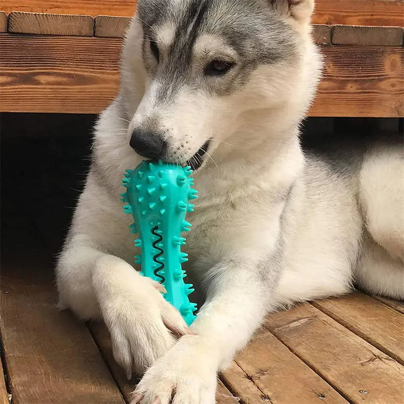 Pet Dog Cleaning Chew Toys For Aggressive Dogs Rubber Molar Stick Dog Oral Teeth KuroshiroOnline