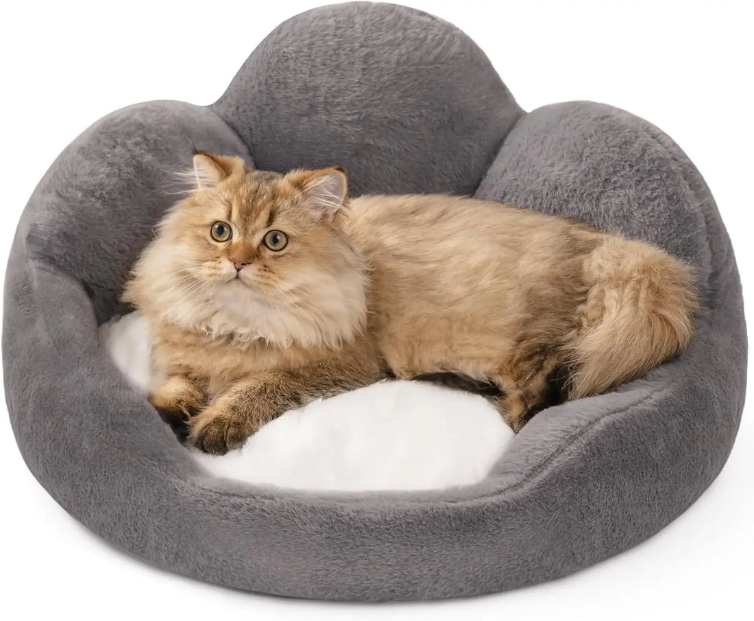 MEWOOFUN Cat Bed And Small Dog Bed, Fluffy Dog Bed Washable Cat Couch Bed, Cute Cat Bed For Indoor Cats, Flower Cat Sofa Bed With Non Slip Bottom, Pet Bed For Puppy And Kitten Grey, 23 KuroshiroOnline