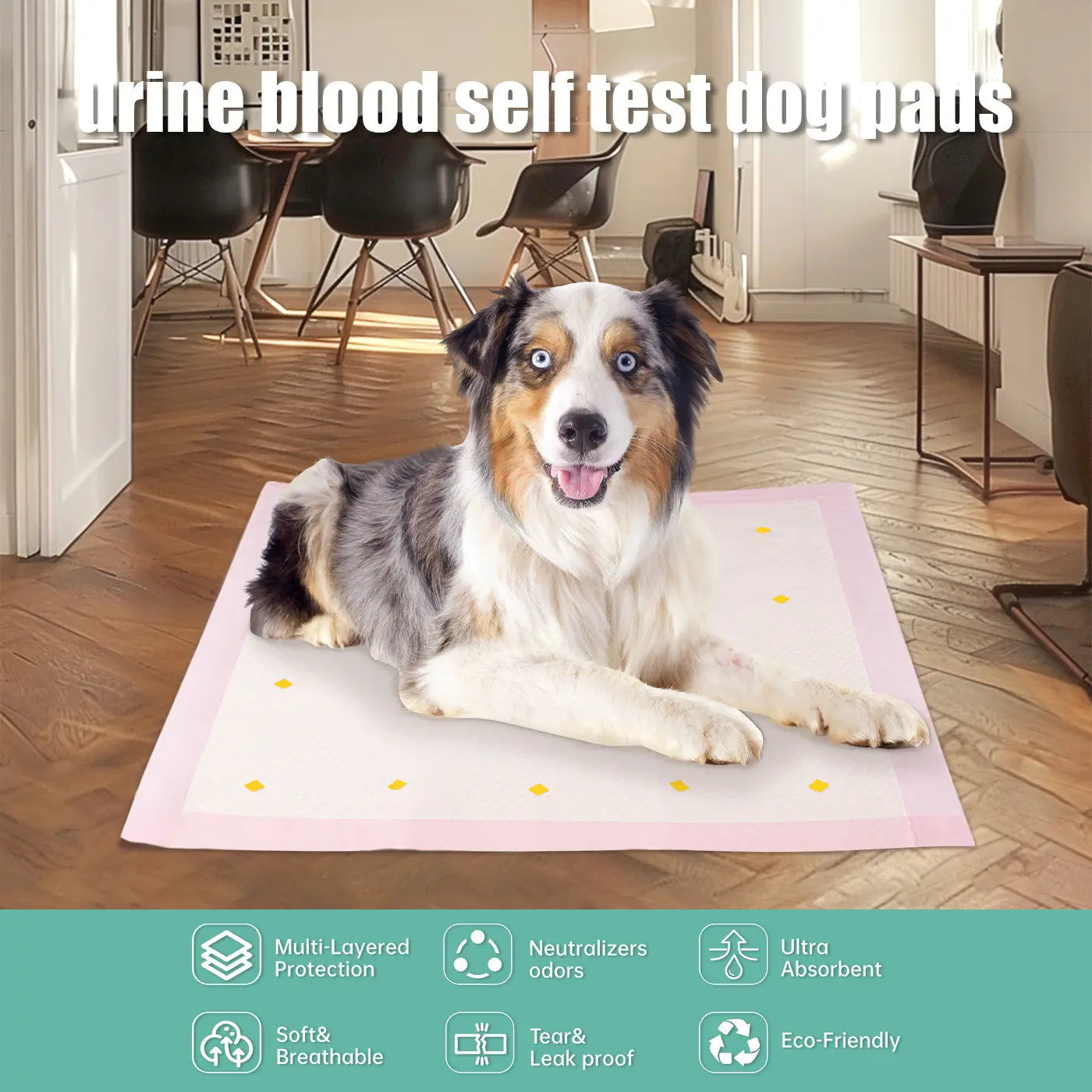 Dog Detection Urine Pad KuroshiroOnline