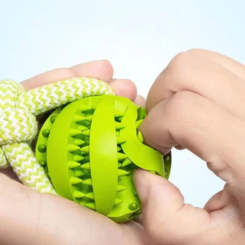 Interactive Dog Treat Ball KuroshiroOnline