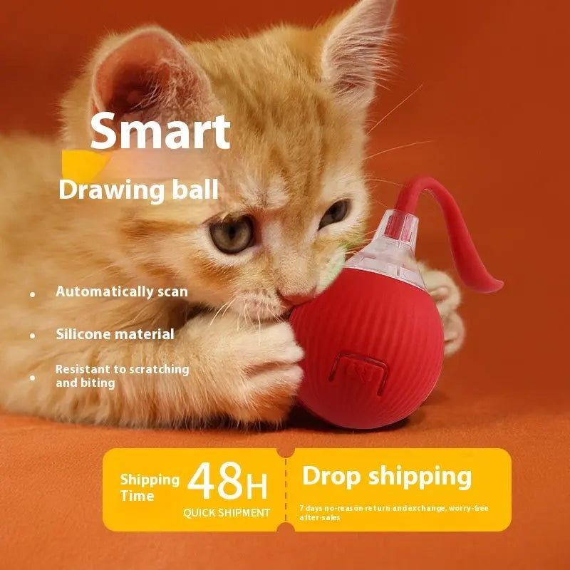 Interactive Cat Toy Ball Super Drive Cat Rolling Ball KuroshiroOnline
