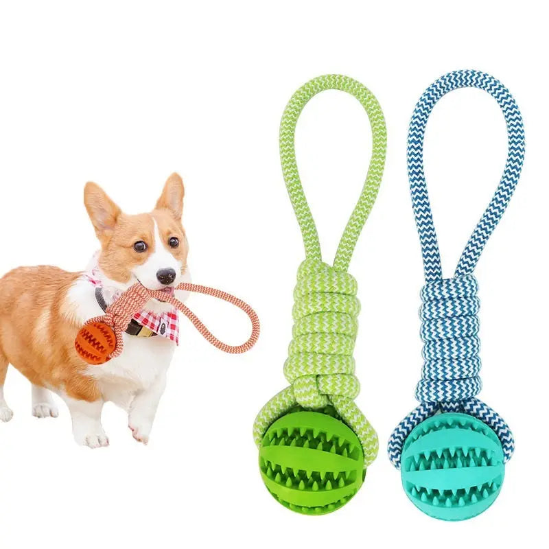 Interactive Dog Treat Ball KuroshiroOnline